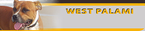 West Palami