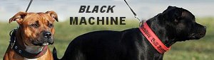 Black Machine